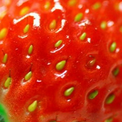 Magda Kalandadze, 06.02.1986