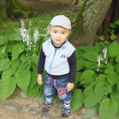 Илья Рахимов, 19.07