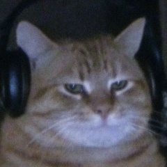 Игорь Азаренков, 11.07.1987, Санкт-Петербург