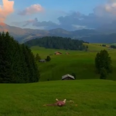 Артём Васильев