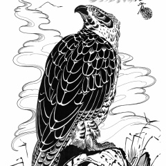 Константин Ястребков, 07.01