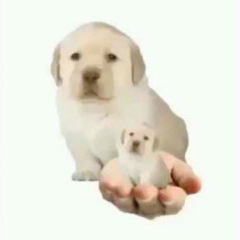 Егор Ашихмин, 27.09