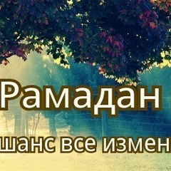 Nursultan Abduvakhab, 01.02, Москва