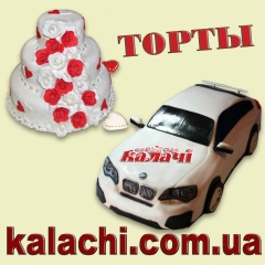 Алина Калачи, 08.11, Чернигов