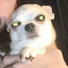 Денис Руссков, 31.12, Санкт-Петербург