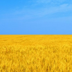 Тихон Берестовой, 14.09.1990