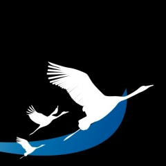 Владимир Фоминских, 17.10.1981, Санкт-Петербург