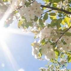 Алина Воробьева, 02.08, Ставрополь