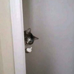 Азамат Шамшыраков, 12.02.1999, Алматы