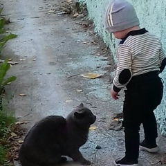 Диба Далиева, 23.11, Сунжа (Орджоникидзевская)