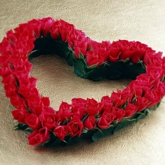 Аида Матен, 31.08.1988, Астана