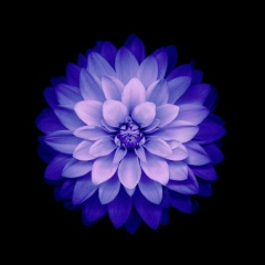 Мурат Мадмаров, 01.10