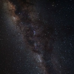 Виталий Лобановский, 01.08, Санкт-Петербург