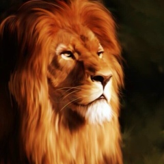 Аленка Перова, 11.08, Подольск