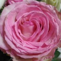 Ольга Лытаева, 30.03.1988, Астрахань