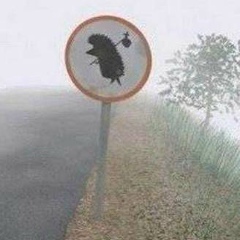 Евгений Духота, 23.06, Киев