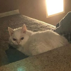 Кристина Лузьянова, 13.10.1992