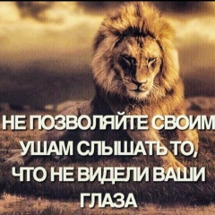 Айдын Курмангалиев, 08.01.1994