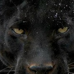 Анна Смирнова, 25.06, Санкт-Петербург