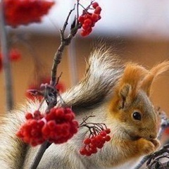 Юлия Бибик, 10.12, Донецк