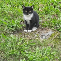Василий Иванов, 07.08.1983, Екатеринбург