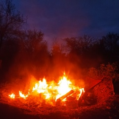 Ольга Мамаева, 22.07, Прохладный