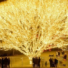 Жанар Кайсар, 11.05.1989, Актау