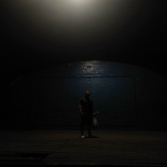 Алексей Лисицкий, Гомель