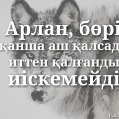 Мэлс Нуркасымов, 07.06.1992, Актау