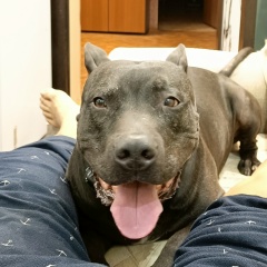 Элвг Болтыров, 19.03.1988, Элиста