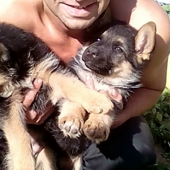 Алексей Дудин, 20.04.1982