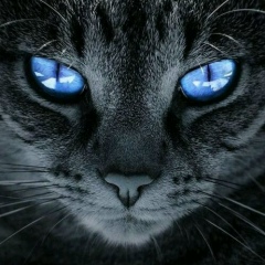 Илья Салахтин, 26.07.1993, Алматы