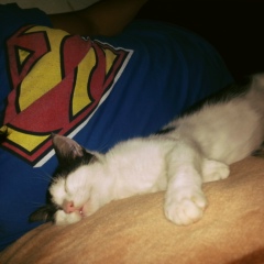 Тима Манкиев, 27.06