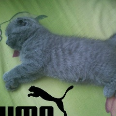 Денис Шамсутдинов, 28.06, Мурсалимкино