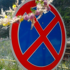 Марина Ярославская