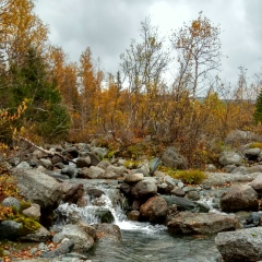 Юля Притыкина, 16.11, Луганск