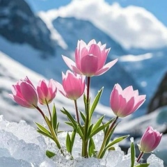 Мария Буторина, 31.01.1985, Челябинск