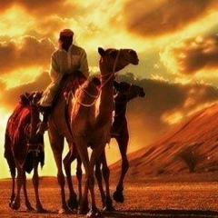 Ибрагим Ибрагимов, 28.11, Нальчик