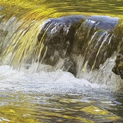 Kyaw Thu-Ya, 15.12.1975