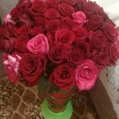 Лариса Пономарева, Бирск