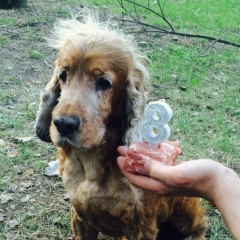 Alex Dichka, 26.02.1989, Киев