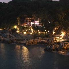 Кот Котович