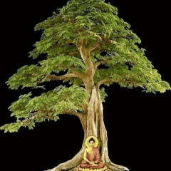 Yan-Naung Win, 05.03.1986