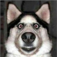 Серёженька Беляев, 18.10, Санкт-Петербург