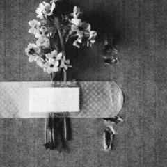 Imamverdi Mesim, Шамкир