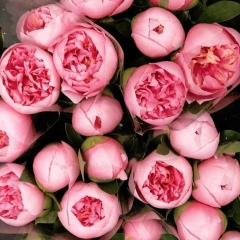 Айжана Кубаталиева, 12.05.2001, Бишкек