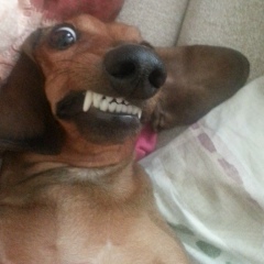 Олег Рудь, 10.05, Санкт-Петербург