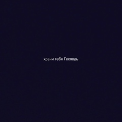 Виталий Пак, Шымкент