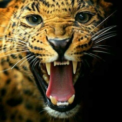 Sai-Chit Htwe, 01.01.2000