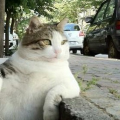 Anuar Sharipov, 24.09, Алматы